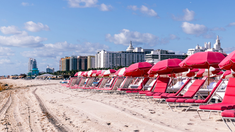 Pink lounge chairs on the beach in Miami