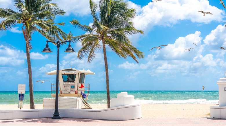 Sebastian Street Beach entrance with palm trees, a lifeguard stand, and seagulls