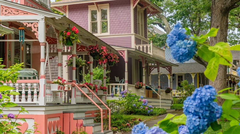 The gingerbread houses in Oak Bluffs