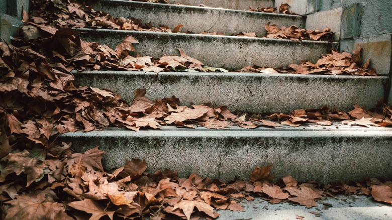 Concrete stairs covered in brown dead leaves