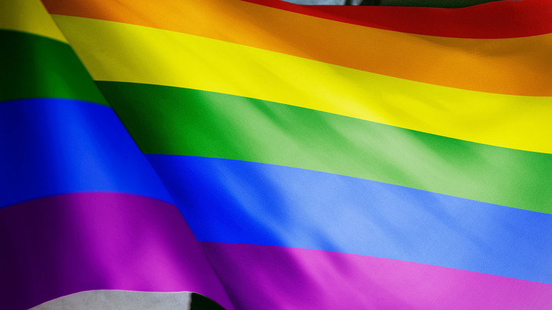 LGBTQ flag flying in the breeze