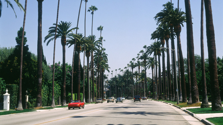 Streets of Beverly Hills in California