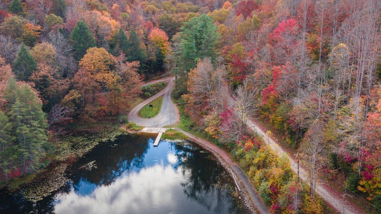 Aerial view of Plum Orchard Lake