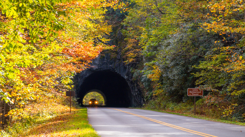 Fall trees around Little Switzerland Tunnel