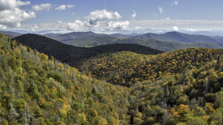 Pisgah National Forest near Little Switzerland