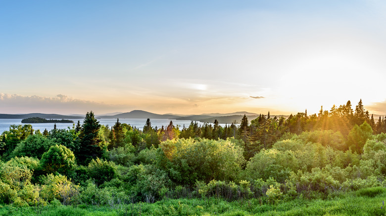 A sunset over a lake backed by hills and mountains with dense foliage in the foreground