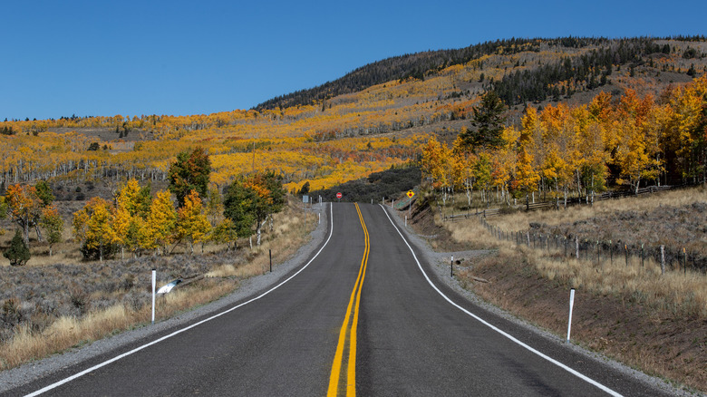 Driving the Fish Lake Scenic Byway