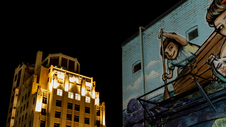 A pretty view of downtown Boise with murals at night