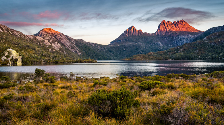 Lake surrounded by mountains and peatland in Tasmania