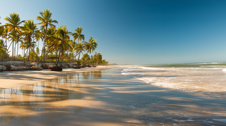 Beach in Brazil