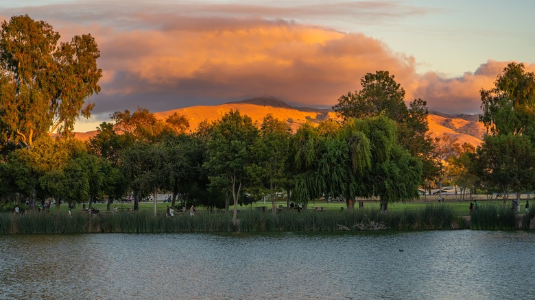 Central Park in Fremont, CA 