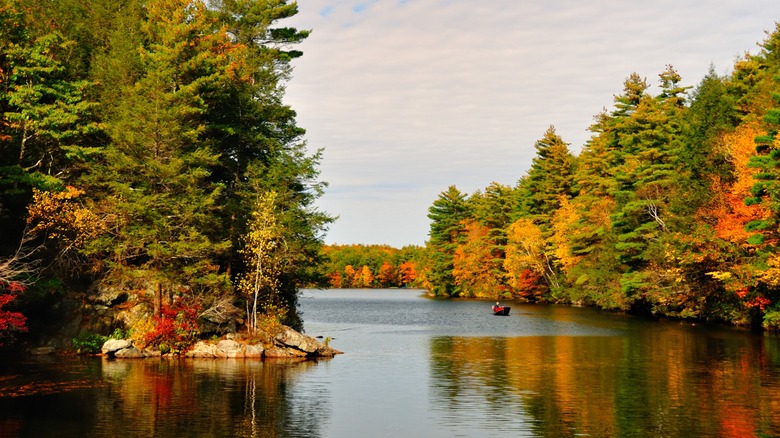 Fall foliage at Bigelow Hollow State Park in Connecticut.