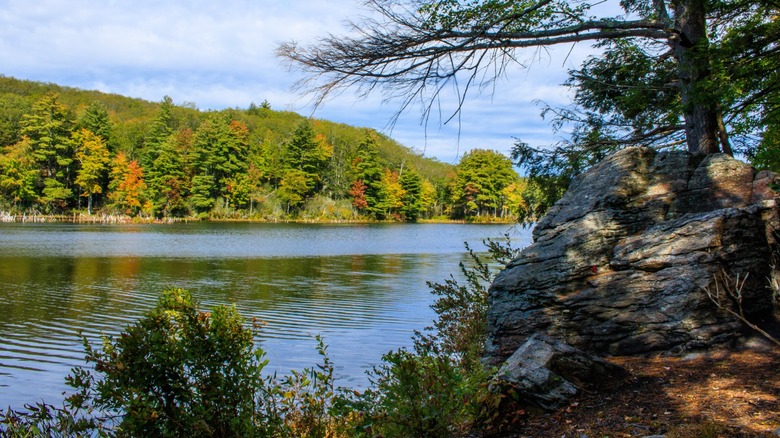 Mashapaug Pond north of Bigelow Hollow State Park.