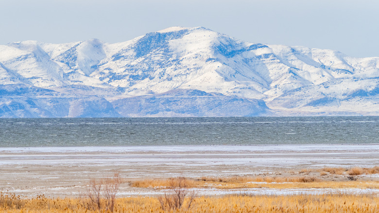 mountains great salt lake anteleope island