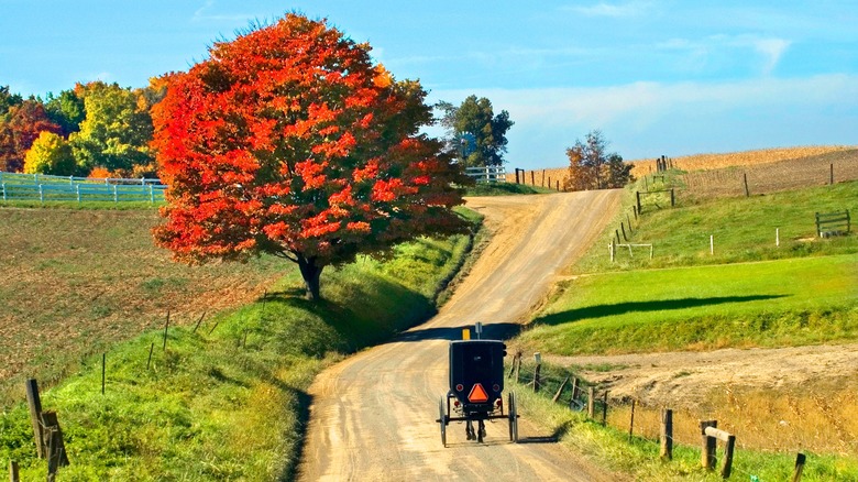 a horse-drawn buggy in Sugarcreek, Ohio