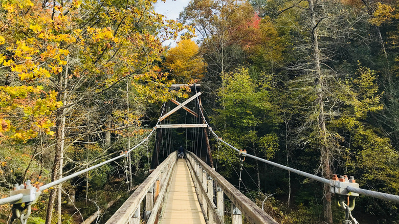 Swinging bridge leading into forest