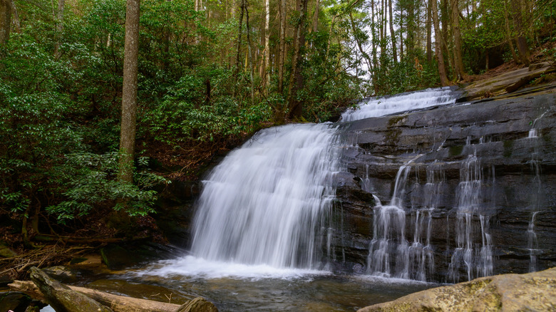 Two-tier waterfall of Long Creek Falls