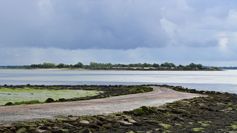 Tidal causeway to Osea