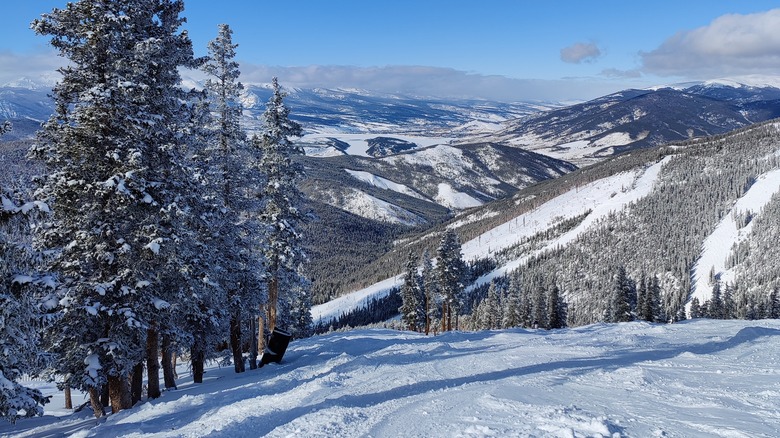 Beaver Creek ski trail