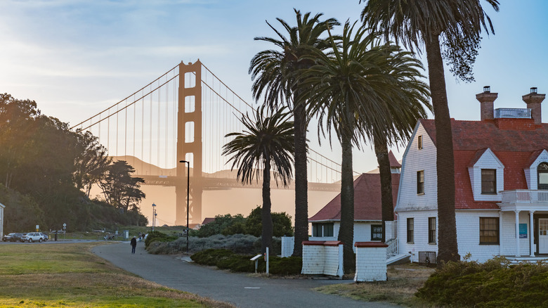 View of Golden Gate Bridge with palm trees and old homes