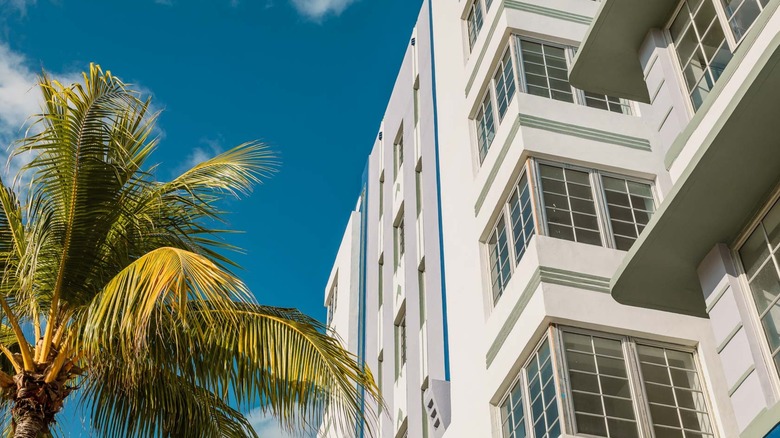 Palm tree beside The Gabriel South Beach hotel