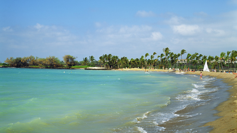 Beach at 'Anaeho'omalu Bay