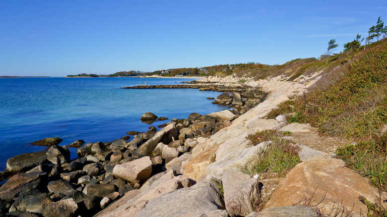 Beach landscape in Falmouth, Massachusetts