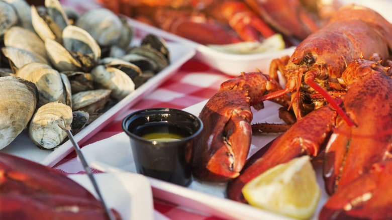 Boiled lobster with butter and steamed clams