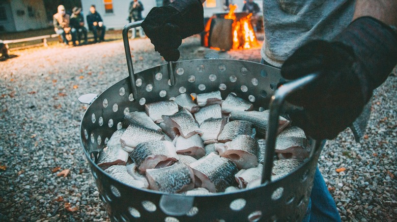 gloved hands holding pot of fish pieces