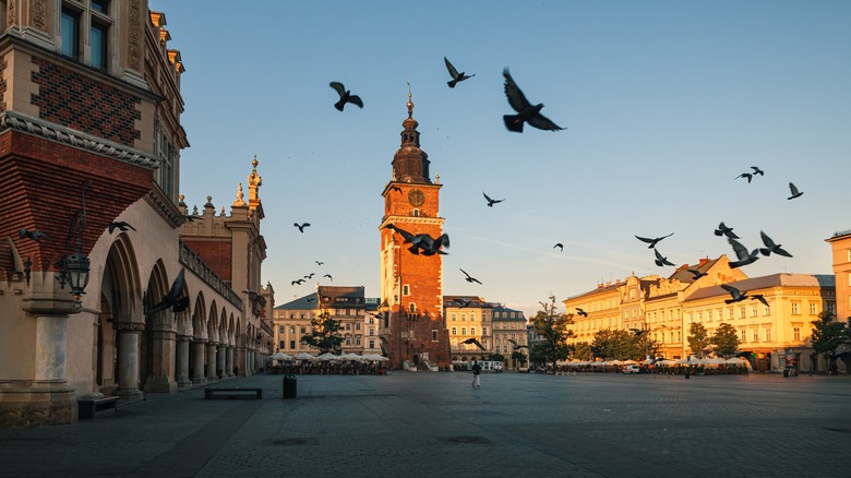 birds flying through empty square