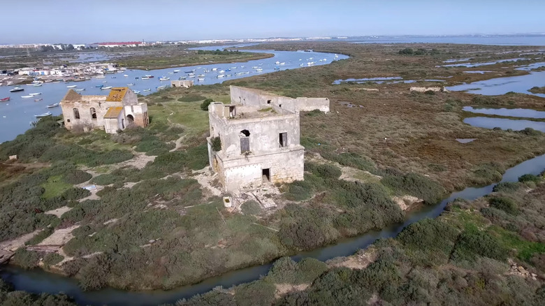 Isla del Trocadero from above