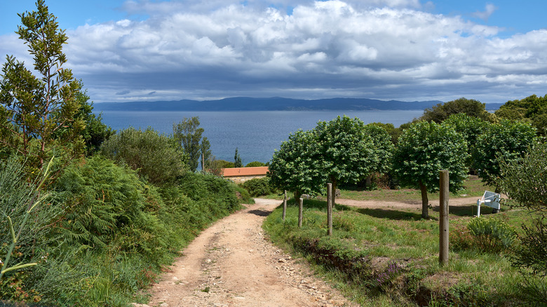 Ons island in Spain