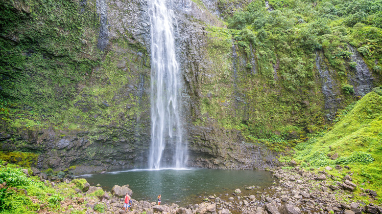 Tourists swim at Hanakapi'ai Falls
