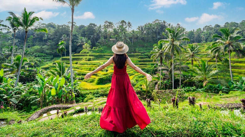 Woman among Bali's rice paddies