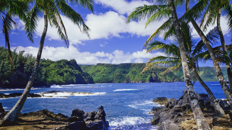 The surf of Maui