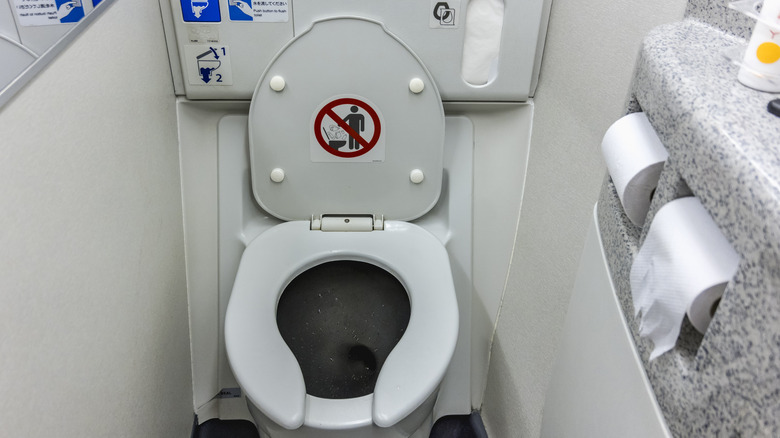 Plane bathroom