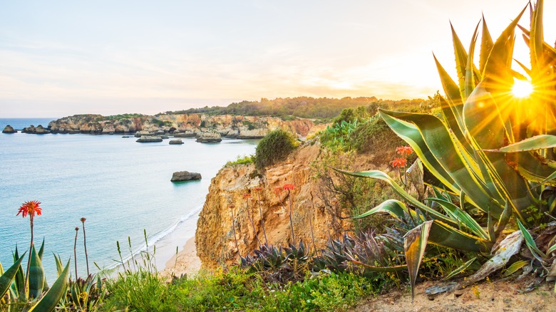 Praia do Alemão at sunset