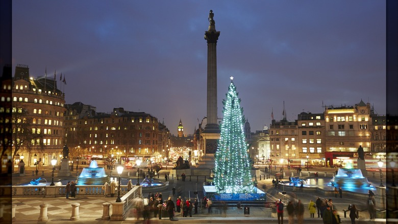 The Trafalgar Square Christmas Tree