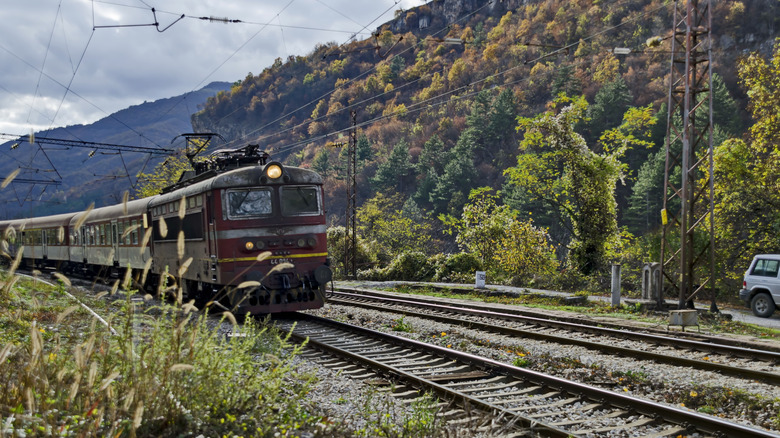 A train in fall foliage