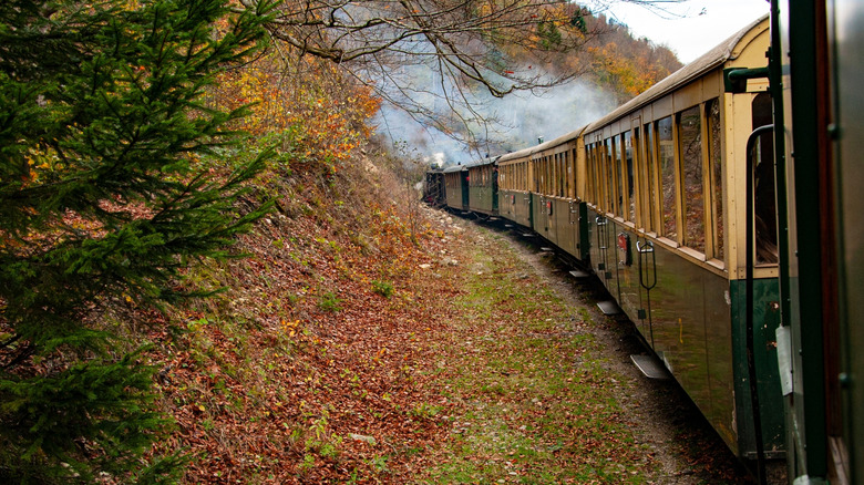 Steam train with fall foliage