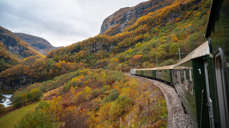 Train in autumn foliage