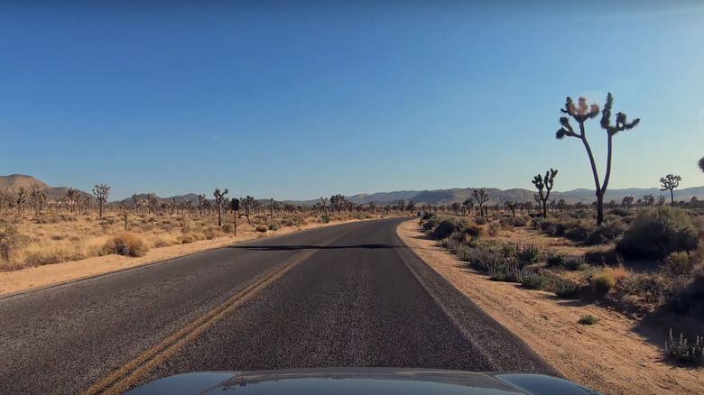 Park Boulevard in Joshua Tree park