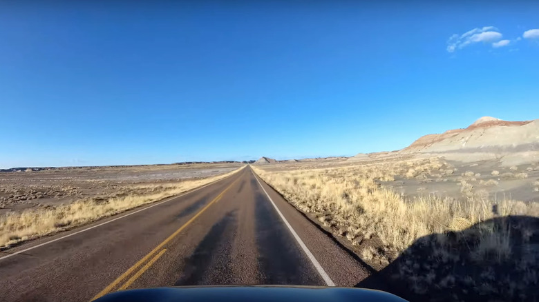 Drive through Petrified Forest park