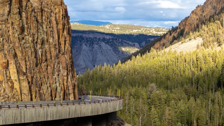 Yellowstone's Grand Loop Road