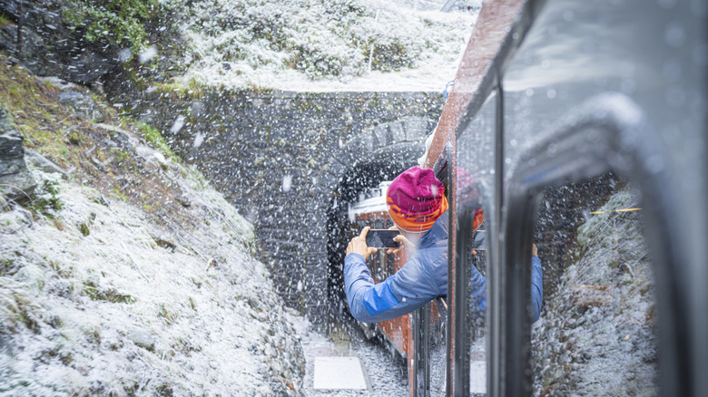 A woman looks outside a train window with phone