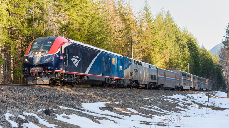 A train speeds by trees