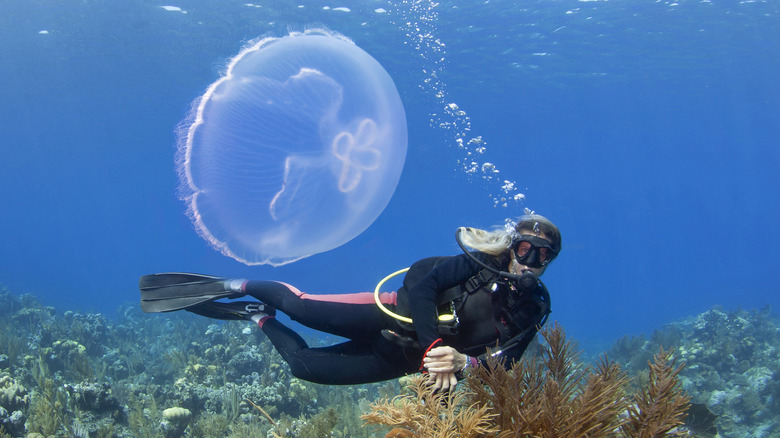 Diver in Bonaire