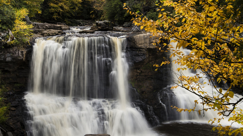 A waterfall with fall foliage