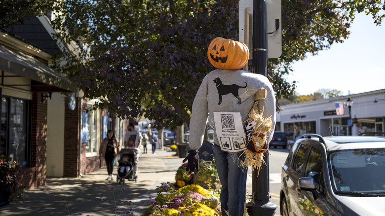 A pumpkin and scarecrow in downtown Salem, Massachusetts