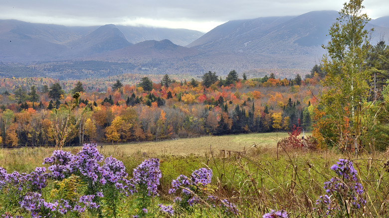 An autumn mountain scene in Sugar Hill, New Hampshire